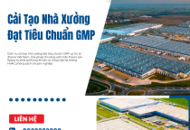 Cải Tạo Nhà Xưởng Đạt Tiêu Chuẩn GMP
